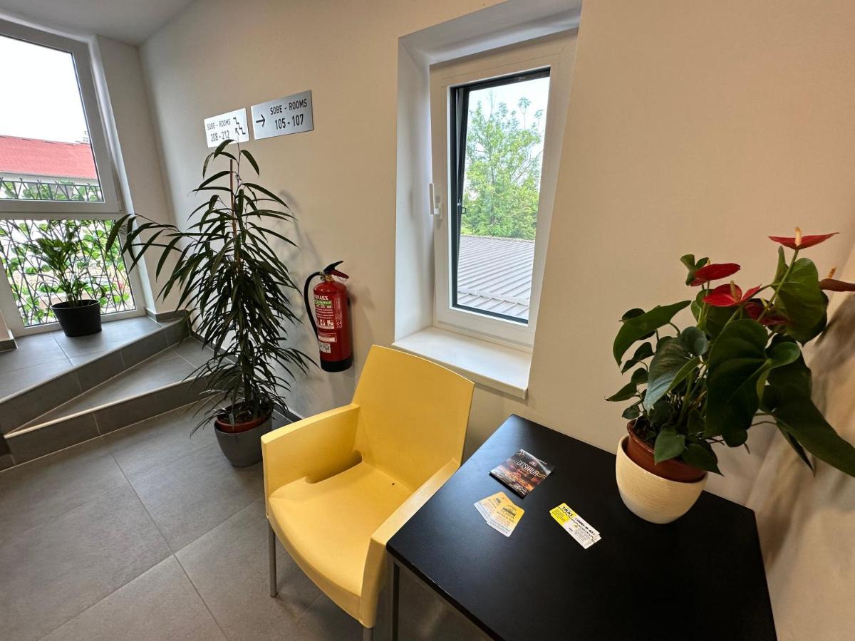Villa Magdalena Apartments & Rooms Maribor Dış mekan fotoğraf