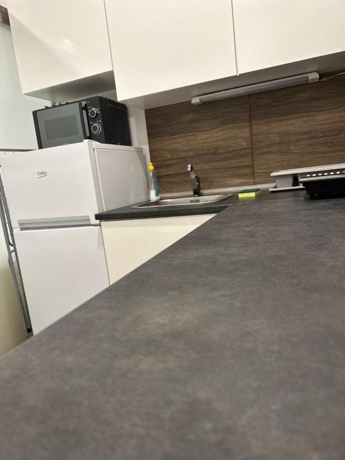 Villa Magdalena Apartments & Rooms Maribor Dış mekan fotoğraf