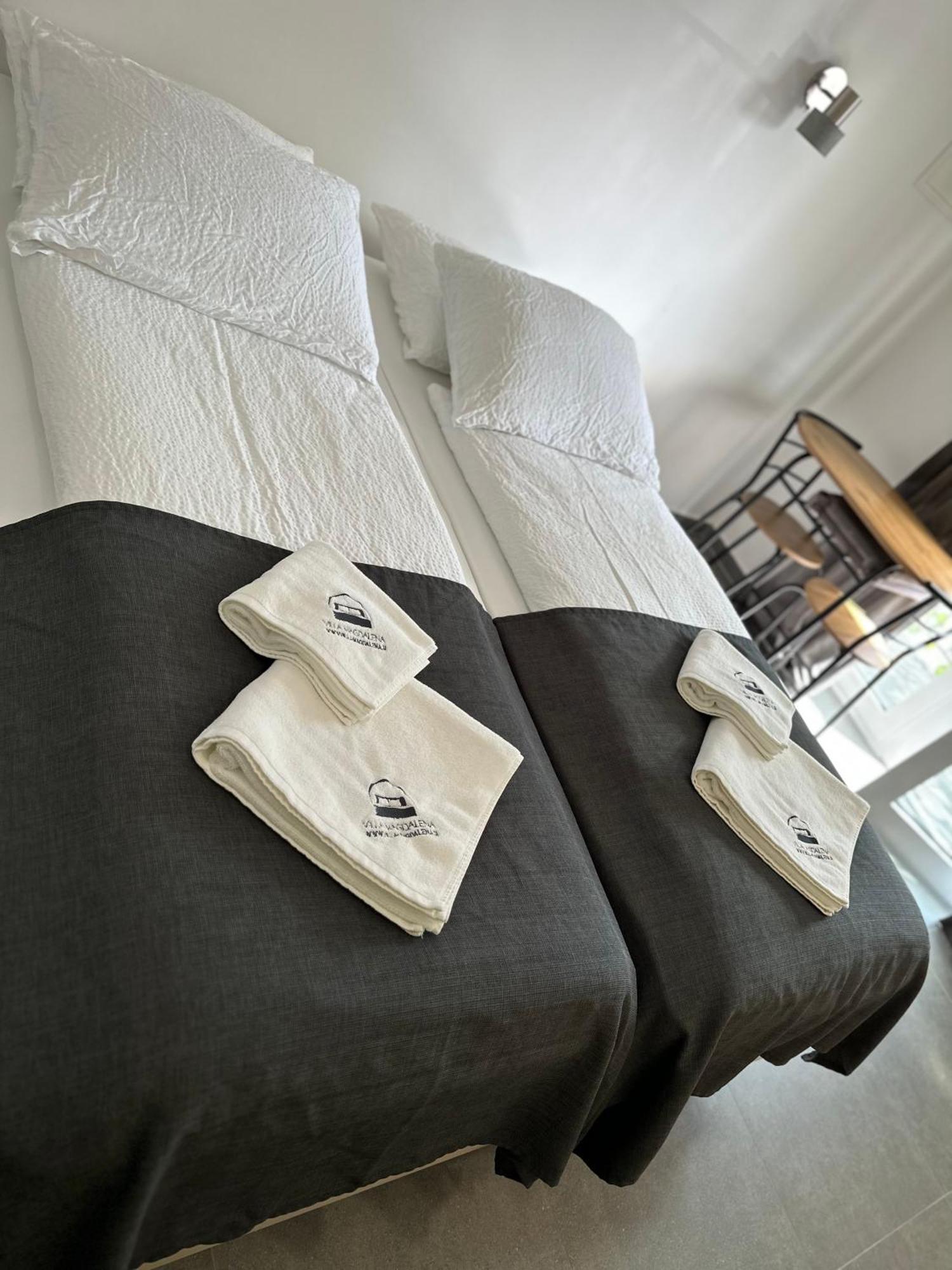 Villa Magdalena Apartments & Rooms Maribor Dış mekan fotoğraf