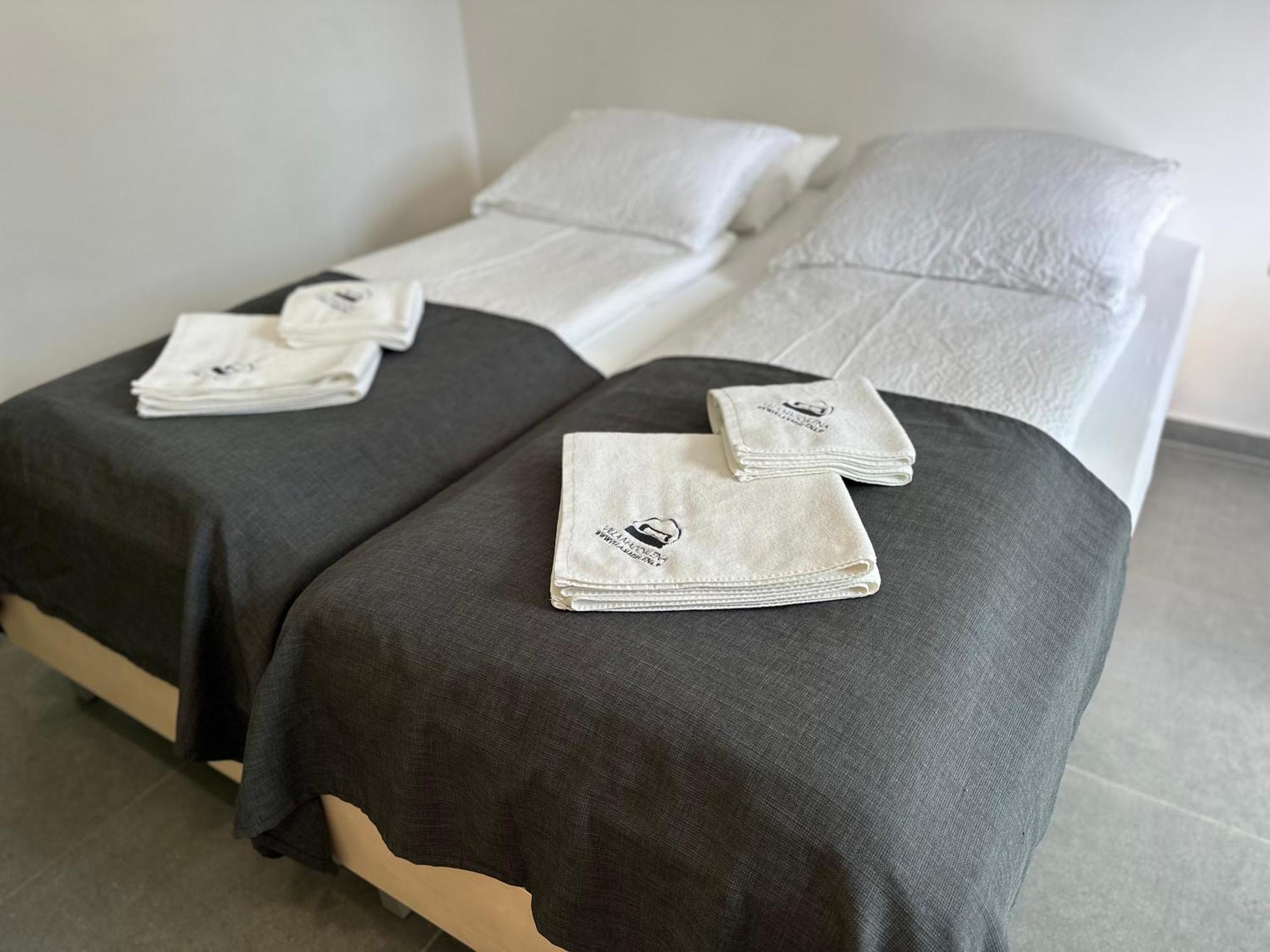 Villa Magdalena Apartments & Rooms Maribor Dış mekan fotoğraf
